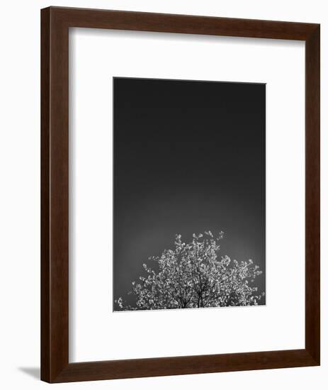 Twinkling Lights 1-Design Fabrikken-Framed Photographic Print