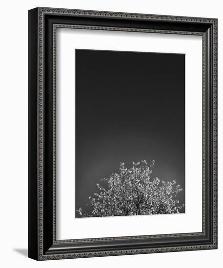 Twinkling Lights 1-Design Fabrikken-Framed Photographic Print