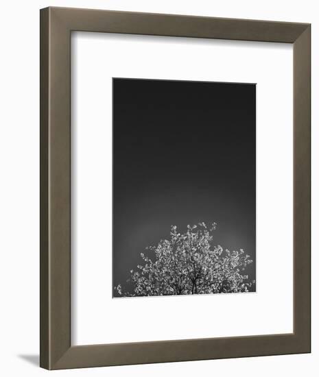 Twinkling Lights 1-Design Fabrikken-Framed Photographic Print