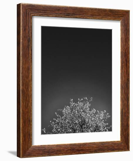 Twinkling Lights 1-Design Fabrikken-Framed Photographic Print