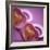 Twins' Dummies-Cristina-Framed Premium Photographic Print