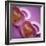 Twins' Dummies-Cristina-Framed Premium Photographic Print