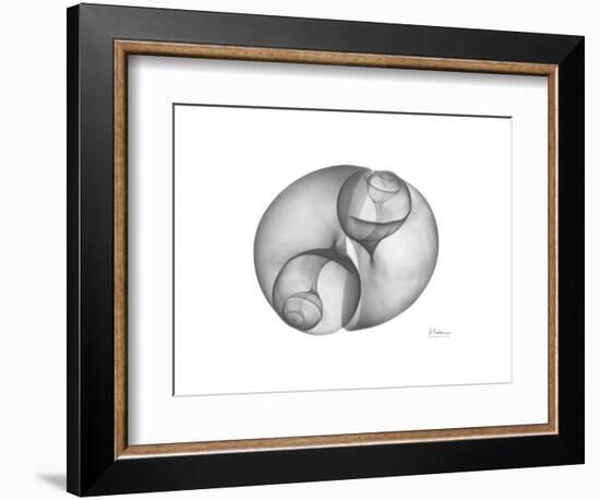 Twins-Albert Koetsier-Framed Premium Giclee Print