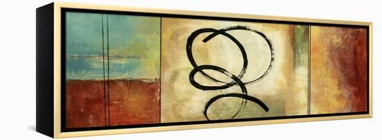 Twirlies I-Andrew Michaels-Framed Stretched Canvas