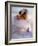 Twirling Female Dancer, San Miguel De Allende, Mexico-Nancy Rotenberg-Framed Photographic Print