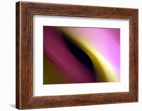 Twisted Beams II-Douglas Taylor-Framed Photographic Print