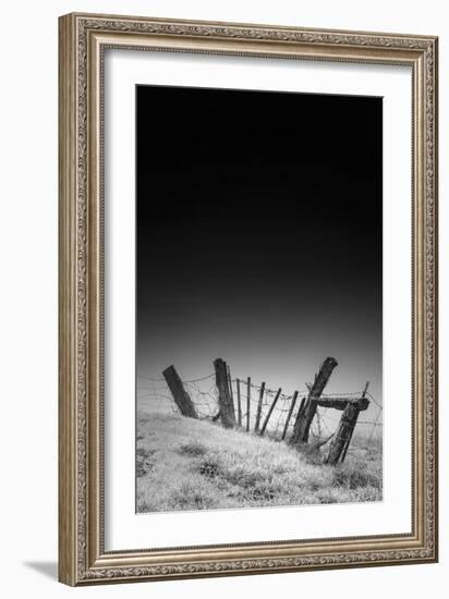 Twisted Fence and Morning Fog, Petaluma California-Vincent James-Framed Photographic Print