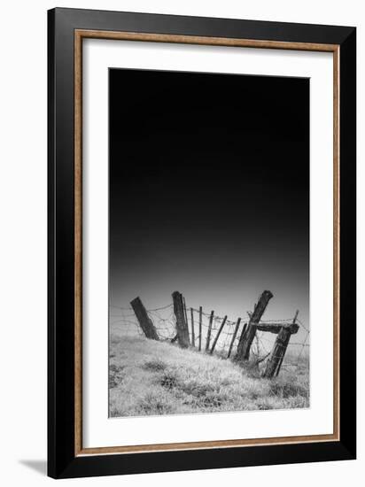 Twisted Fence and Morning Fog, Petaluma California-Vincent James-Framed Photographic Print