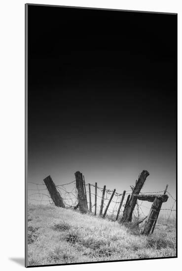 Twisted Fence and Morning Fog, Petaluma California-Vincent James-Mounted Photographic Print