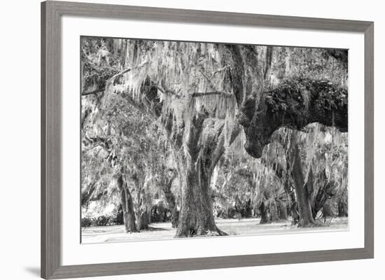 Twisted Grove-Wink Gaines-Framed Giclee Print