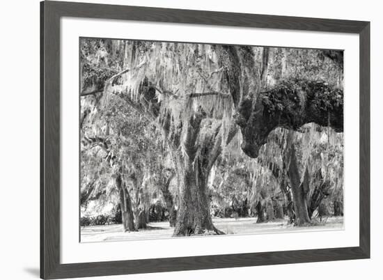 Twisted Grove-Wink Gaines-Framed Giclee Print