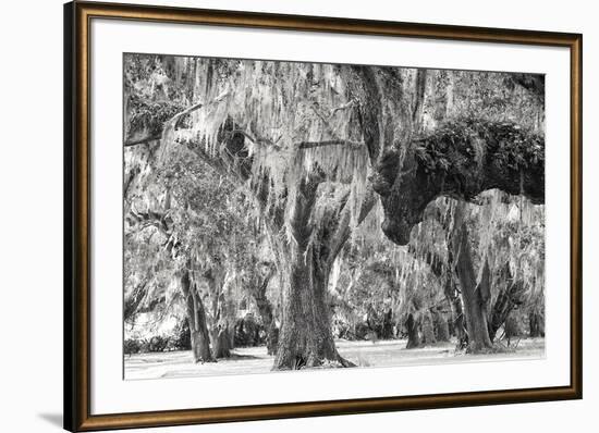 Twisted Grove-Wink Gaines-Framed Giclee Print