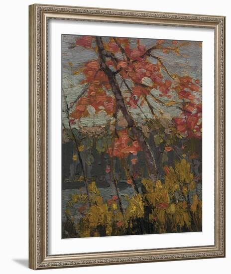 Twisted Maple-Tom Thomson-Framed Giclee Print