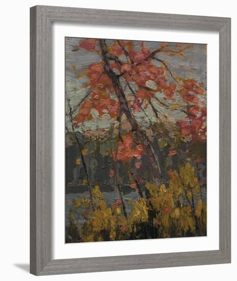 Twisted Maple-Tom Thomson-Framed Giclee Print