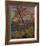 Twisted Maple-Tom Thomson-Framed Giclee Print