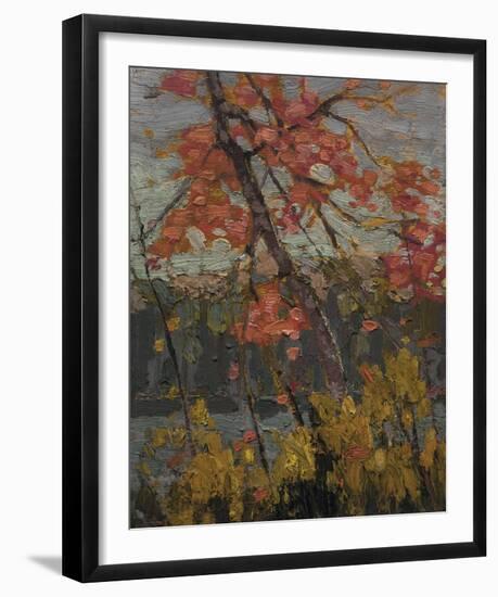 Twisted Maple-Tom Thomson-Framed Giclee Print