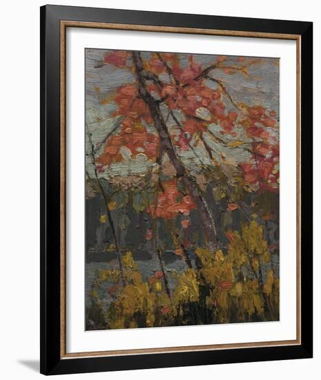 Twisted Maple-Tom Thomson-Framed Giclee Print