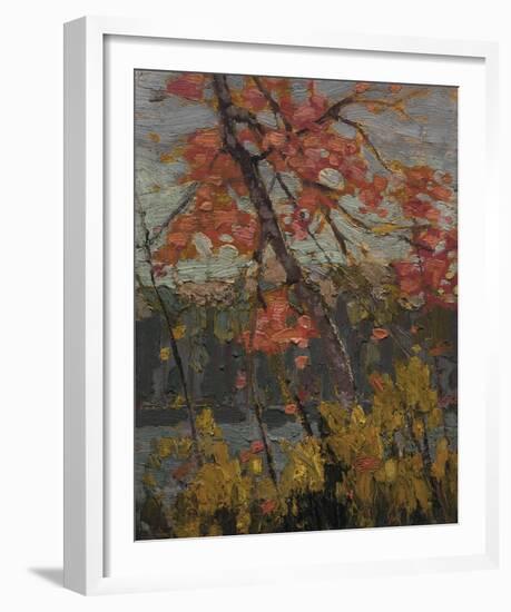 Twisted Maple-Tom Thomson-Framed Giclee Print