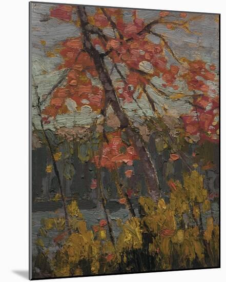 Twisted Maple-Tom Thomson-Mounted Giclee Print