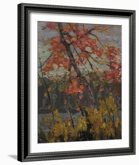 Twisted Maple-Tom Thomson-Framed Giclee Print