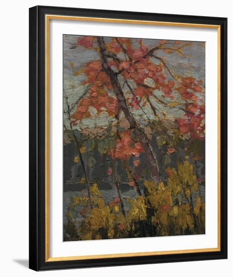 Twisted Maple-Tom Thomson-Framed Giclee Print