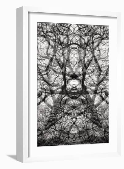 Twisted Tree, 2021 (photograph)-Ant Smith-Framed Giclee Print