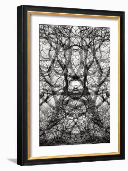 Twisted Tree, 2021 (photograph)-Ant Smith-Framed Giclee Print