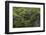 Twisted tree along Grey Lake, Torres del Paine National Park, Chile, Patagonia-Adam Jones-Framed Photographic Print