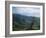 Twisted Tree in Lush Landscape, Bear River Range, Cache National Forest, Cache Valley, Idaho, USA-Scott T^ Smith-Framed Photographic Print