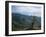 Twisted Tree in Lush Landscape, Bear River Range, Cache National Forest, Cache Valley, Idaho, USA-Scott T^ Smith-Framed Photographic Print