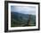 Twisted Tree in Lush Landscape, Bear River Range, Cache National Forest, Cache Valley, Idaho, USA-Scott T^ Smith-Framed Photographic Print