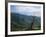 Twisted Tree in Lush Landscape, Bear River Range, Cache National Forest, Cache Valley, Idaho, USA-Scott T^ Smith-Framed Photographic Print