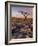 Twisted Tree, Twistleton Scar End, Ingleton, Yorkshire Dales National Park, England, United Kingdom-Neale Clark-Framed Photographic Print