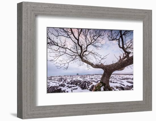 Twistleton Scar End in Snow, Ingleton, Yorkshire Dales, Yorkshire, England, United Kingdom, Europe-Bill Ward-Framed Photographic Print