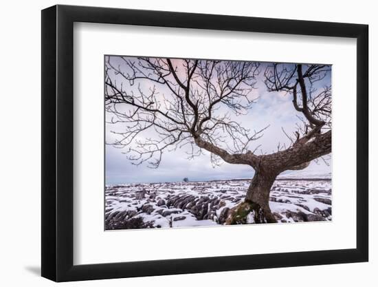 Twistleton Scar End in Snow, Ingleton, Yorkshire Dales, Yorkshire, England, United Kingdom, Europe-Bill Ward-Framed Photographic Print