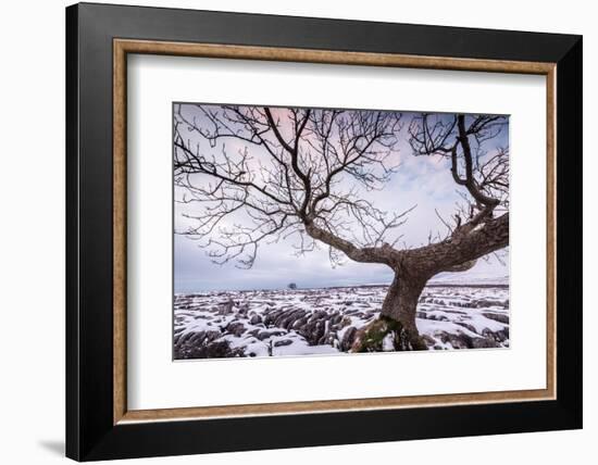 Twistleton Scar End in Snow, Ingleton, Yorkshire Dales, Yorkshire, England, United Kingdom, Europe-Bill Ward-Framed Photographic Print