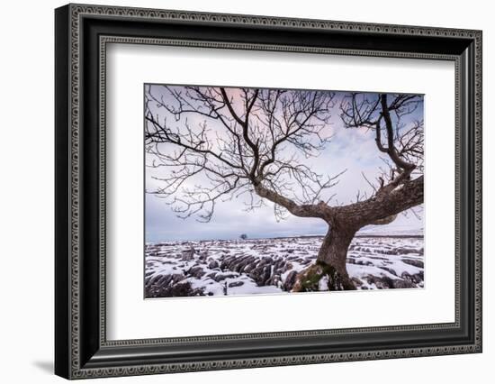 Twistleton Scar End in Snow, Ingleton, Yorkshire Dales, Yorkshire, England, United Kingdom, Europe-Bill Ward-Framed Photographic Print