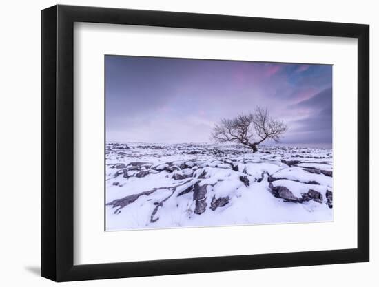 Twistleton Scar End in Snow, Ingleton, Yorkshire Dales, Yorkshire, England, United Kingdom, Europe-Bill Ward-Framed Photographic Print