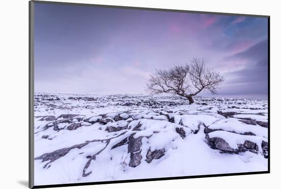 Twistleton Scar End in Snow, Ingleton, Yorkshire Dales, Yorkshire, England, United Kingdom, Europe-Bill Ward-Mounted Photographic Print