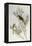 Twite (Carduelis Flavirostris)-John Gould-Framed Premier Image Canvas
