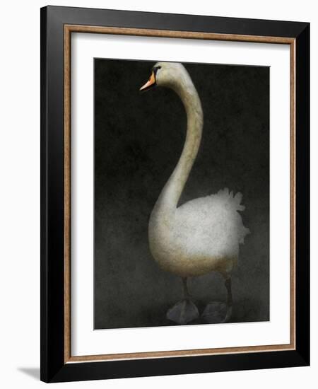 Twitterjam-Lynne Davies-Framed Photographic Print