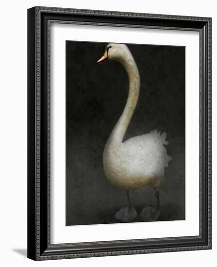 Twitterjam-Lynne Davies-Framed Photographic Print