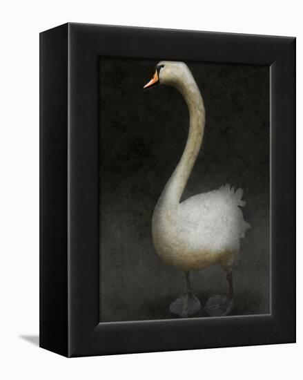 Twitterjam-Lynne Davies-Framed Premier Image Canvas