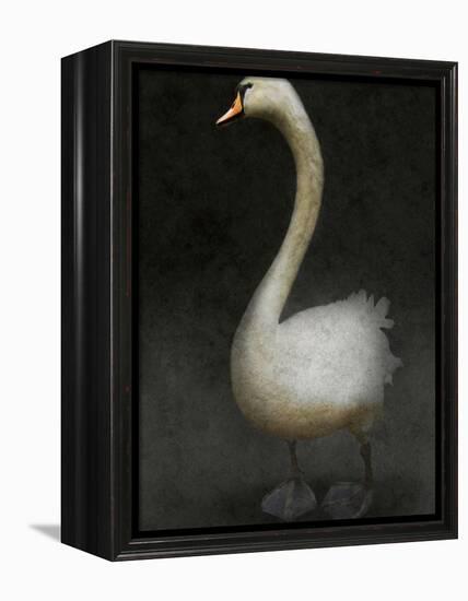 Twitterjam-Lynne Davies-Framed Premier Image Canvas