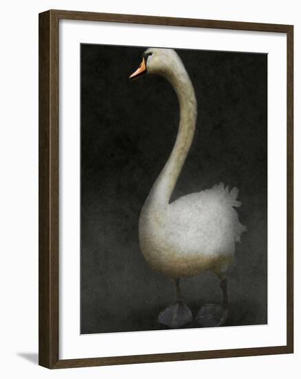 Twitterjam-Lynne Davies-Framed Photographic Print