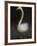 Twitterjam-Lynne Davies-Framed Photographic Print