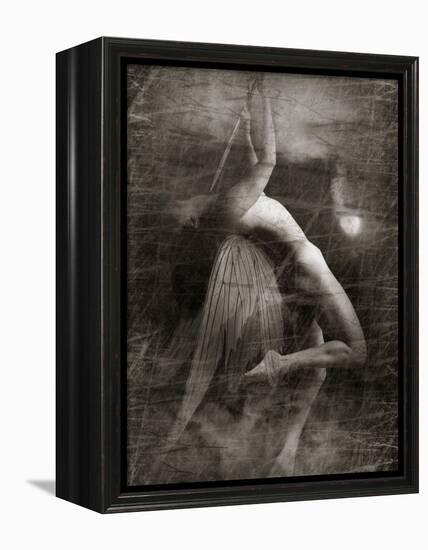 Twitterzoom-Lynne Davies-Framed Premier Image Canvas