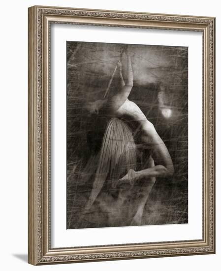 Twitterzoom-Lynne Davies-Framed Photographic Print