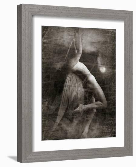 Twitterzoom-Lynne Davies-Framed Photographic Print