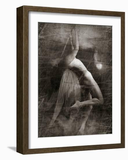 Twitterzoom-Lynne Davies-Framed Photographic Print